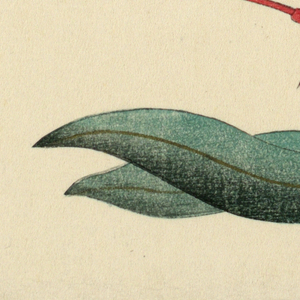 Print (Japan)
