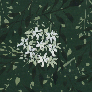 Drawing (USA)