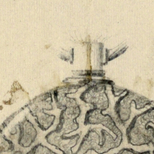 Design For Watch