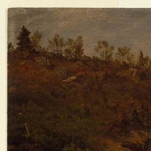 Drawing, Coast of Grand Manan Island, Canada, August or September 1851