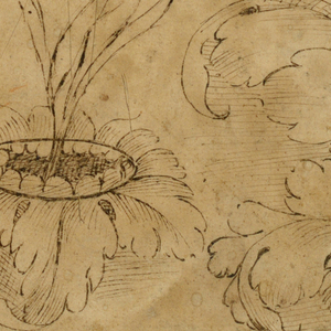 Drawing (Italy)