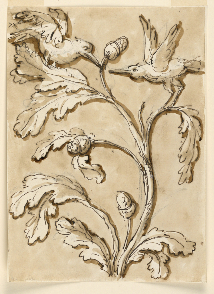 Drawing, Two Birds in Foliage with Seed Pods