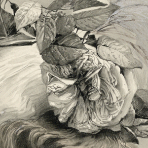 Drawing (France)