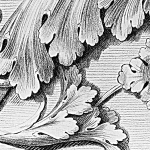 Bound Print (France)