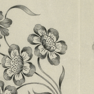 Drawing, Designs for embroidery, ca. 1890