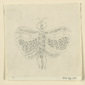 Drawing, Design for a butterfly brooch, 1830–40