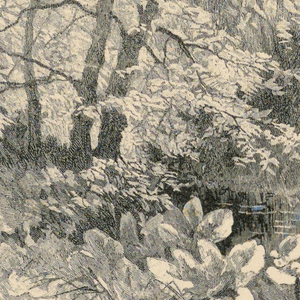 Print (USA)