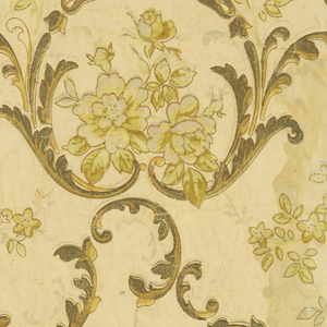 Ceiling Paper (USA), 1900