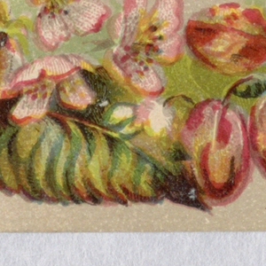 Souvenir Card