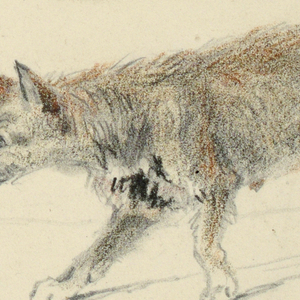 Drawing (England)
