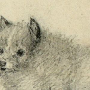 Drawing (England)