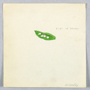 Drawing, Button Design: Lily of Valley