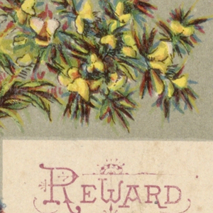 Souvenir Card