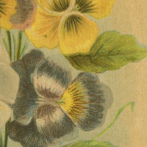 Souvenir Card