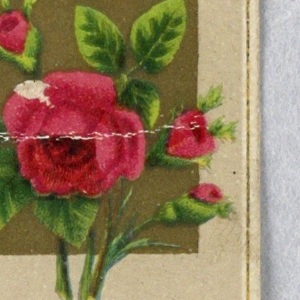 Souvenir Card