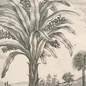 Print (Germany)