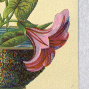 Souvenir Card