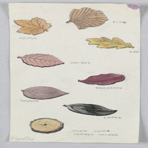 Drawing, Button Design: Leaves