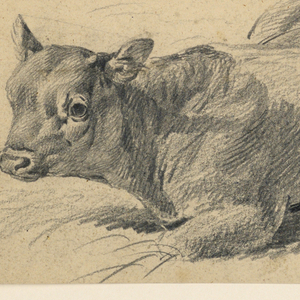Drawing (England)