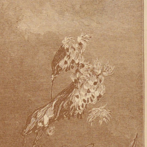 Print (England)