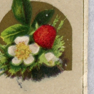 Souvenir Card
