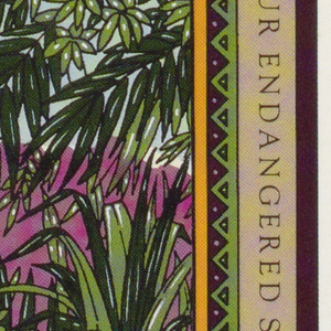Pop-up Card, Siberian Tiger