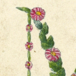 Alphabet Card