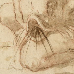 Drawing (Italy)