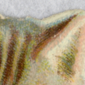 Cut-out