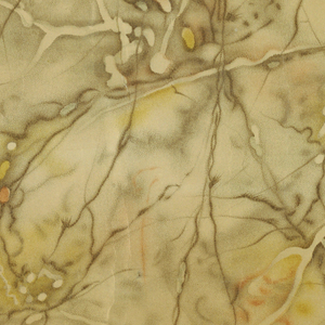 Sidewall (USA), 1900–1920