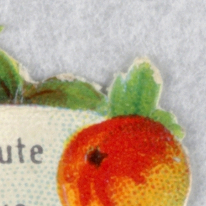 Cut-out