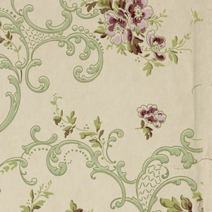 Sidewall (USA), 1890–1920