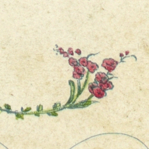 Alphabet Card