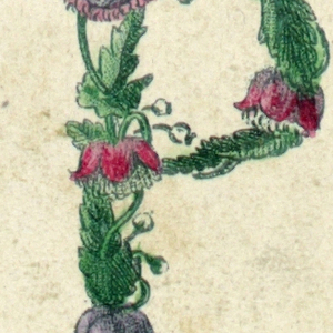 Alphabet Card