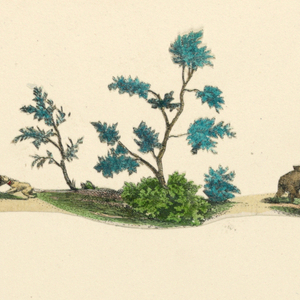Engraving, 18th century
