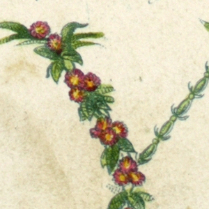 Alphabet Card