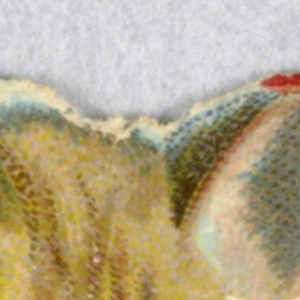 Cut-out