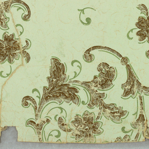 Ceiling Paper (USA), 1890–1910