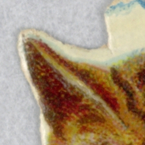 Cut-out