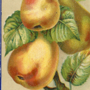 Souvenir Card