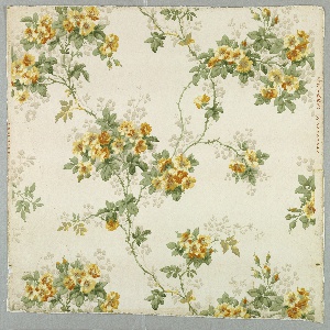 Sidewall (England), 1905–15