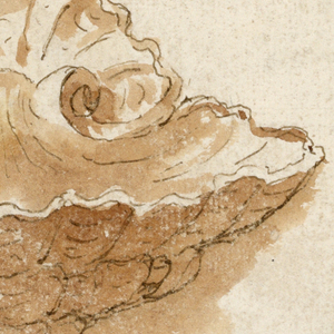 Drawing (Italy)