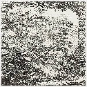 Print, Rocaille [Rococo Design] in Nouveaux Morceaux pour des paravents [New Concepts for Screens], 1740