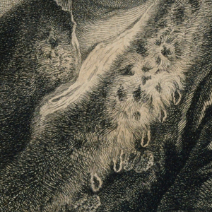Print (Germany)
