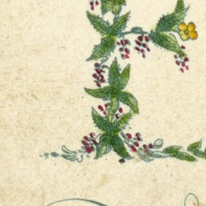 Alphabet Card