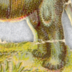 Cut-out