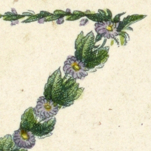 Alphabet Card