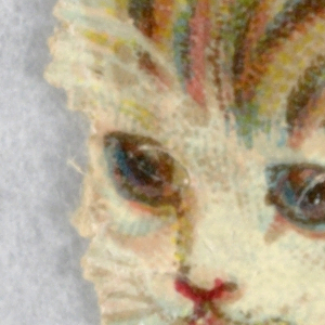 Cut-out