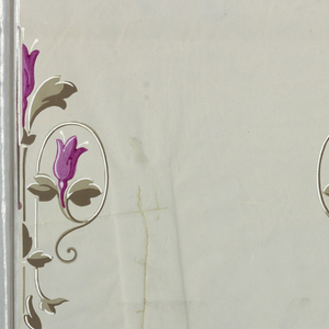 Sidewall, 1860–1900