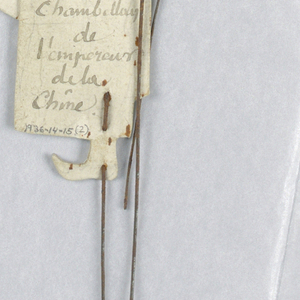 Puppet (France)